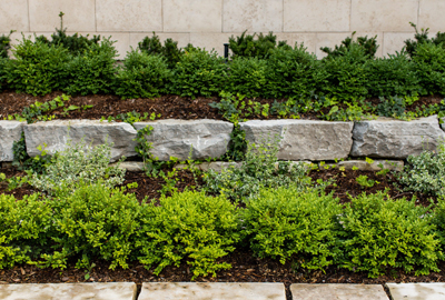 Refined image lawn and landscape, softscapes, snow & ice, lawn cutting & maintenance, residential & commercial lawn care, dunnville, ON